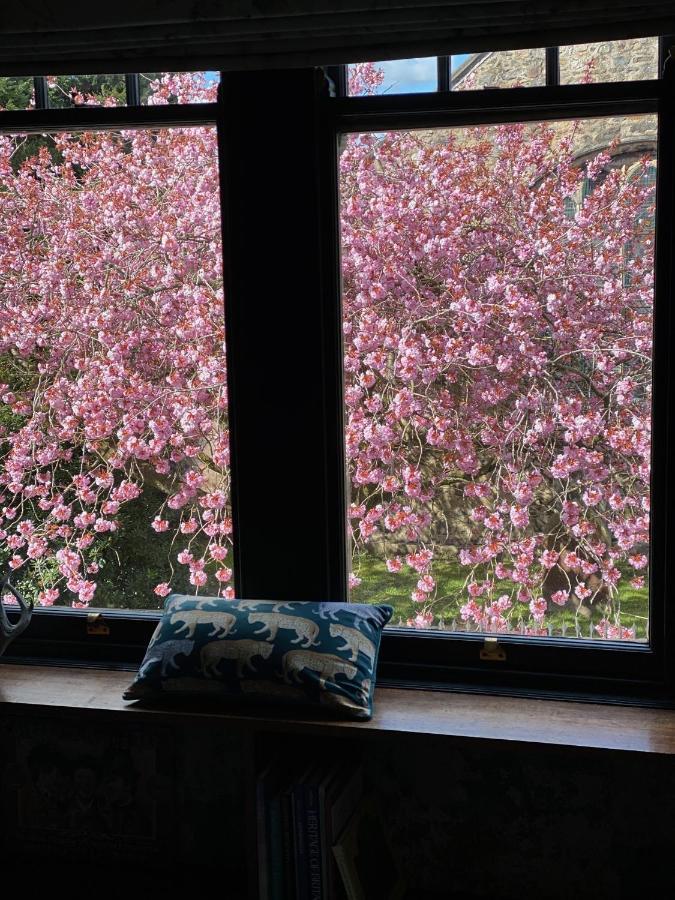 Apartment Wuthering Heights *