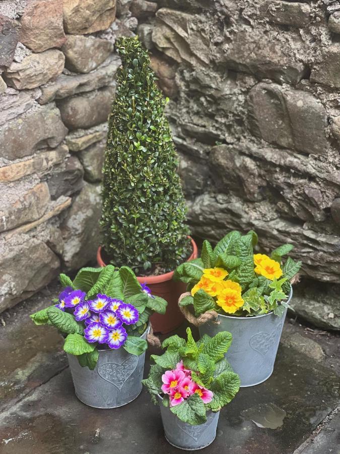 Wuthering Heights Apartment Sedbergh